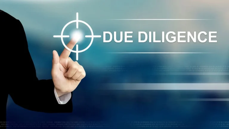 Business Due Diligence: CIM & SDE Analysis consulting service